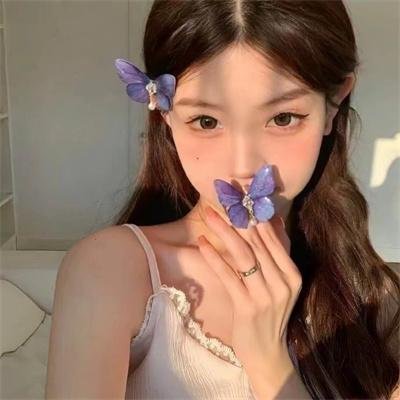 盗贼泰瑞莎